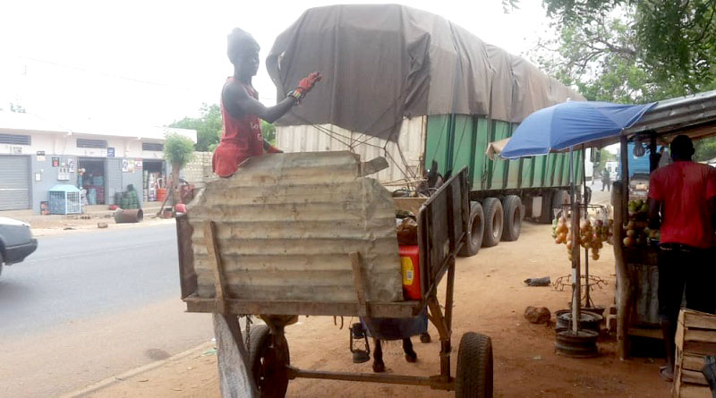 FOCUS : Marché de Diass.